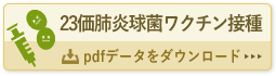 23価肺炎球菌ワクチン接種用問診票